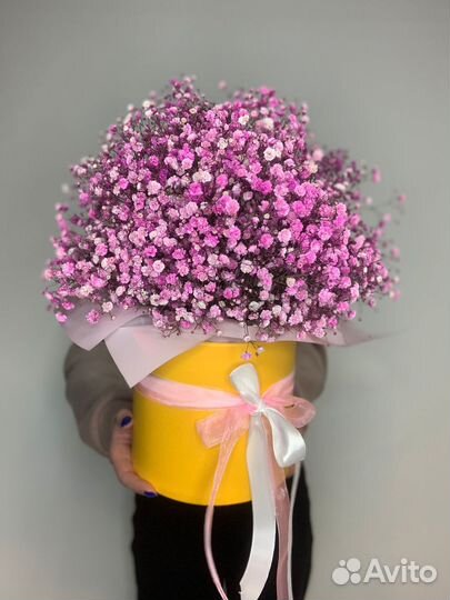 Розовая гипсофила