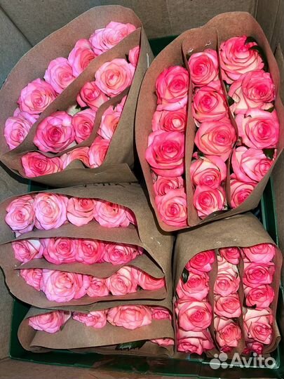 Букет свежих голландских роз