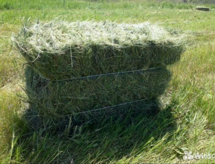 Сено Зелёное и Солома в Наличии