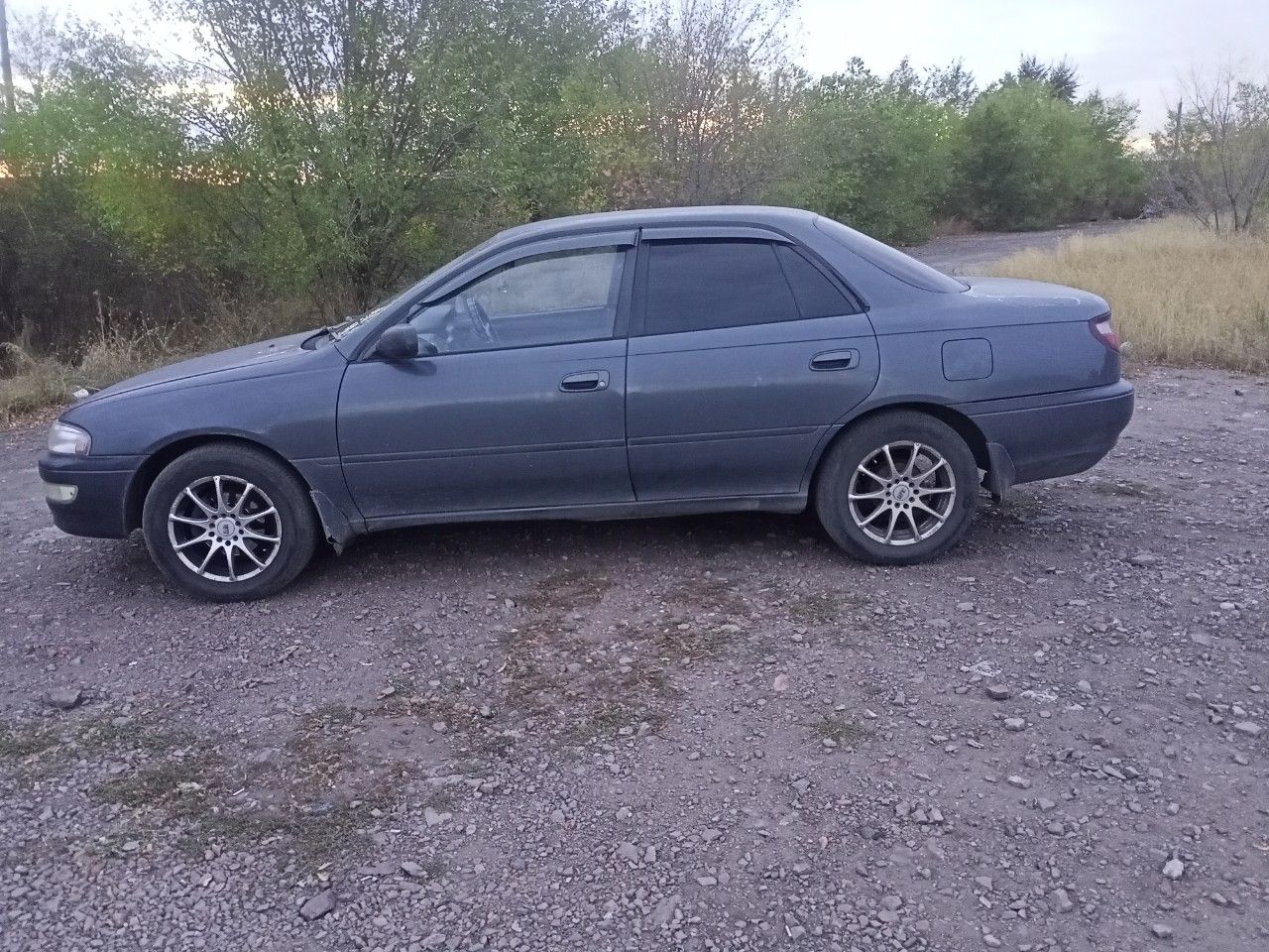 Toyota Carina: фото владельца
