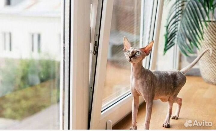 Пластиковые окна за 7 дней