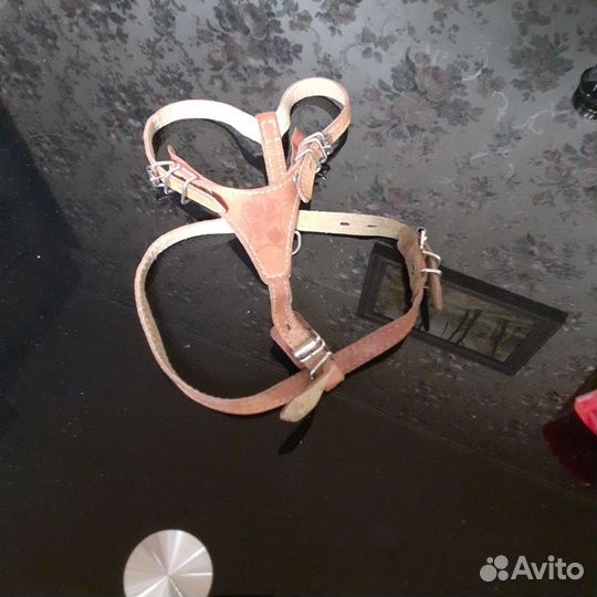 Шлейка для небольшой собаки