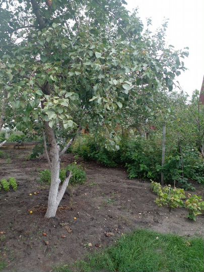 Дача 45 м² на участке 4 сот.