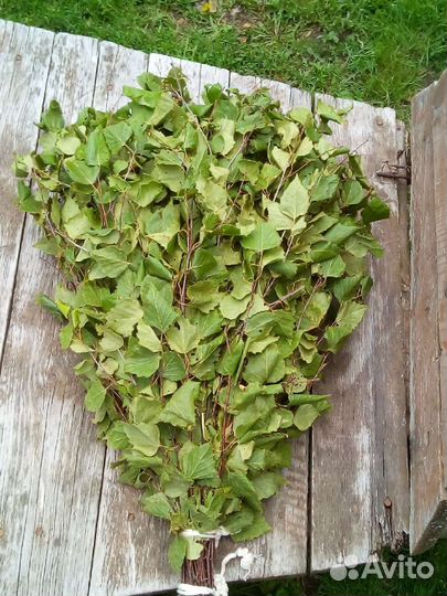 Веники для бани