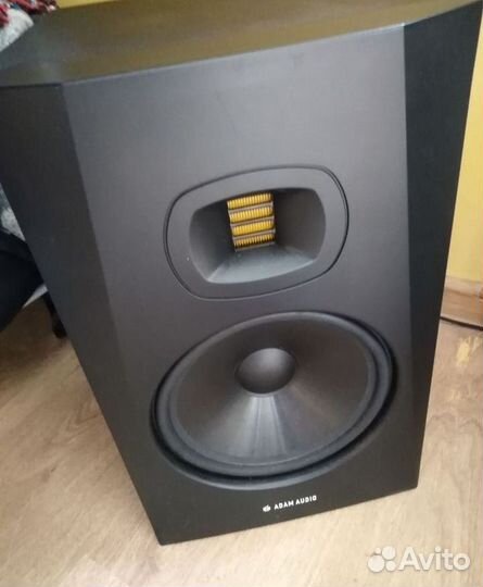 Adam audio t8v
