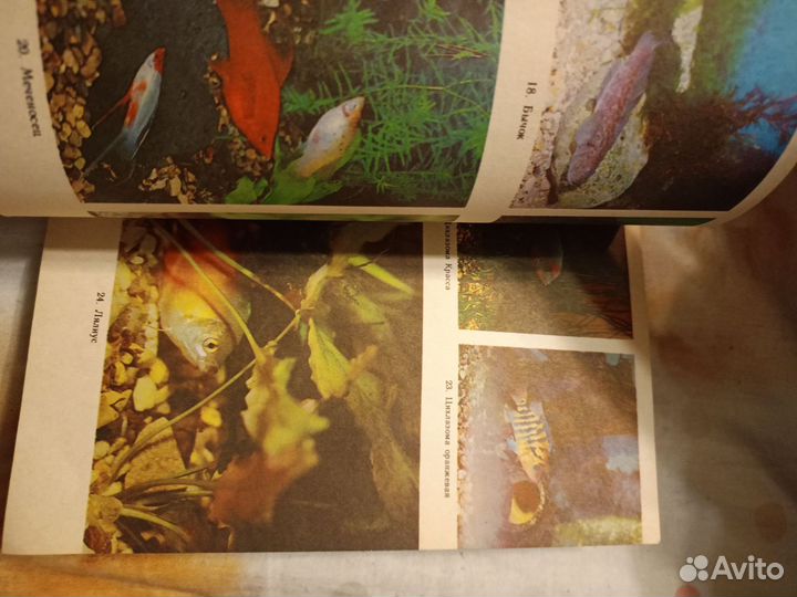 Книга школьный аквариум