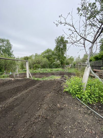 Дача 10 м² на участке 6 сот.