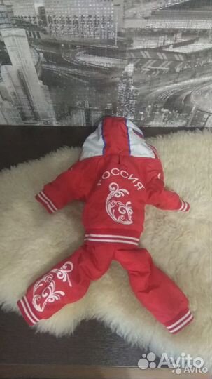 Костюм для собачки