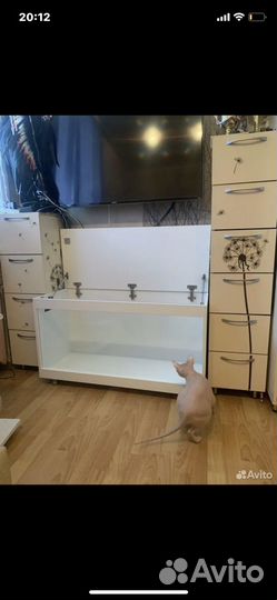 Террариумы для рептилий