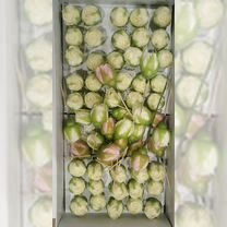 Пенные розы для творчества