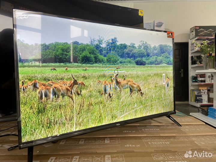 Smart TV32 TCL 81см