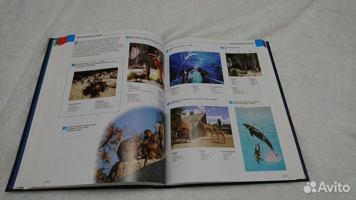 Большой иллюстрированный словарь