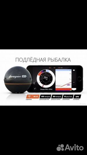 Аренда эхолота