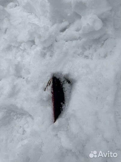 Поиск металлоискателем срочный выезд