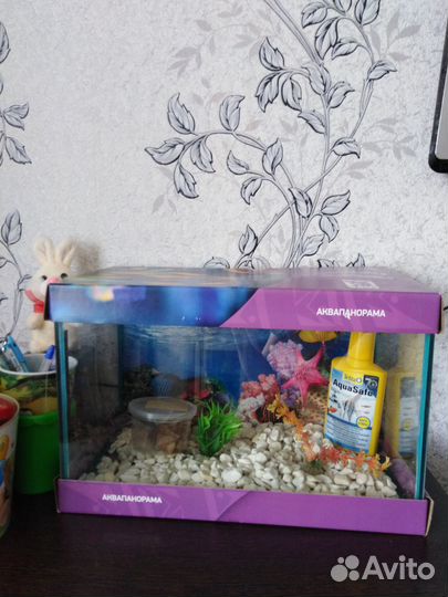 Аквариум