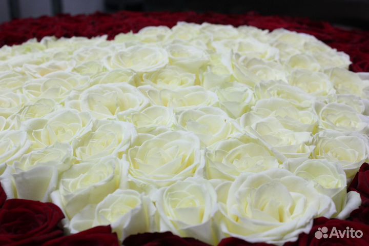 Магазин Цветов Купи Букет