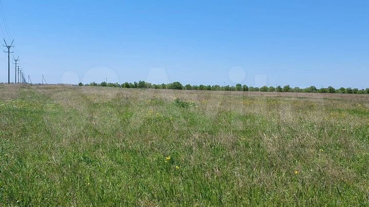 Участок 35 сот. (СНТ, ДНП)