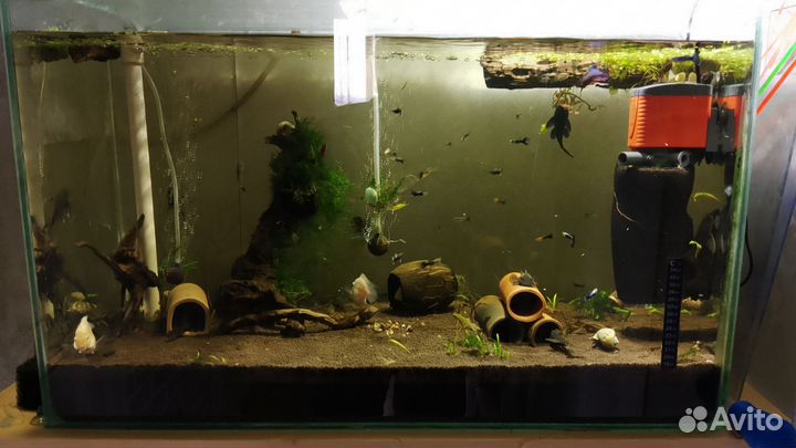 Аквариумы б/у