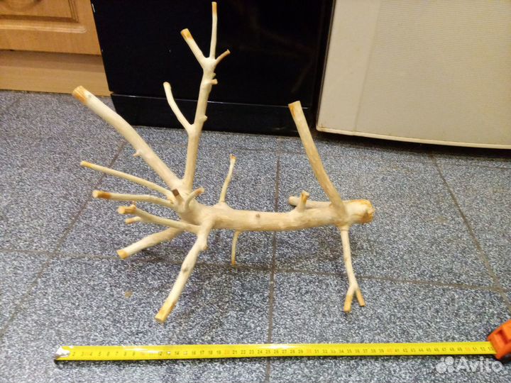 Ветки (коряги) яблони и вишни - продажа/обмен