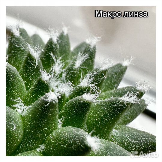 Линзы для телефона