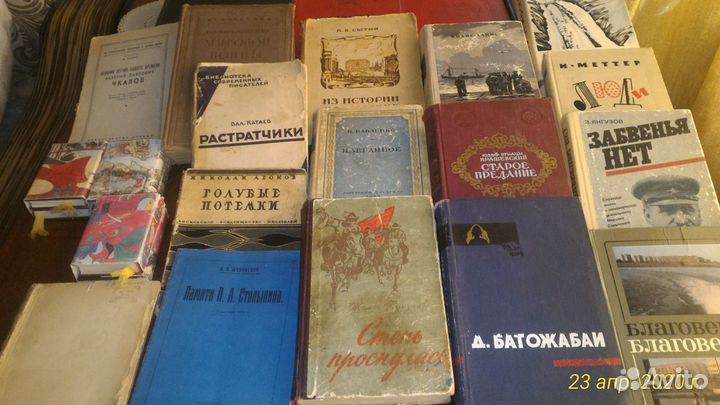 Редкие и забытые книги