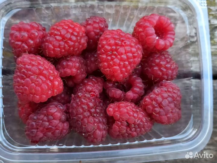 Малина замороженная