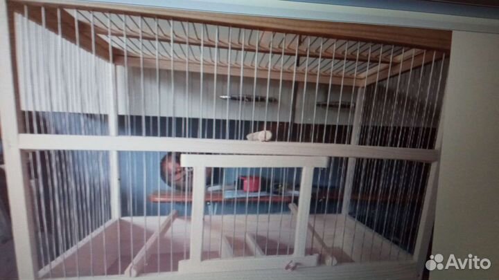 Клетки для птиц, корм для канареек