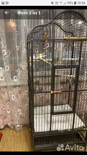 Большая клетка для попугая