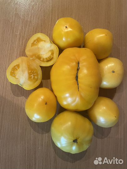 Семена томатов сбор 2023 г