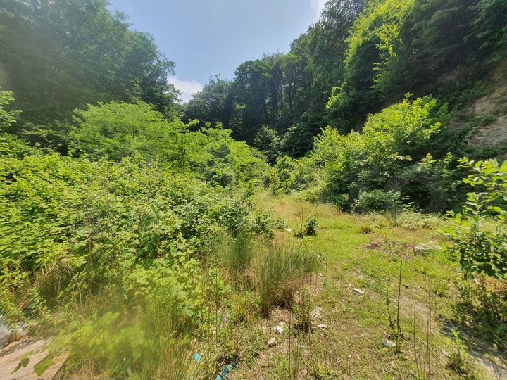 Участок 22 сот. (ИЖС)