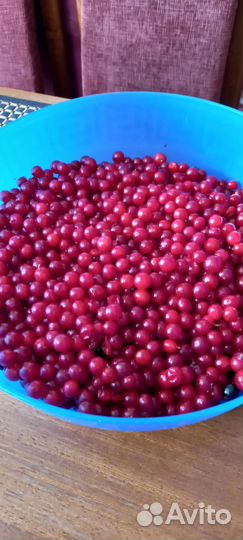 Калина протертая с сахаром