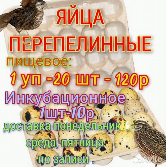 Яйцо перепелинное