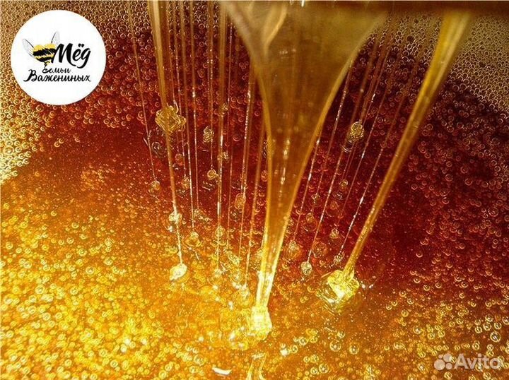 Мёд башкирский свежий. Собственная пасека