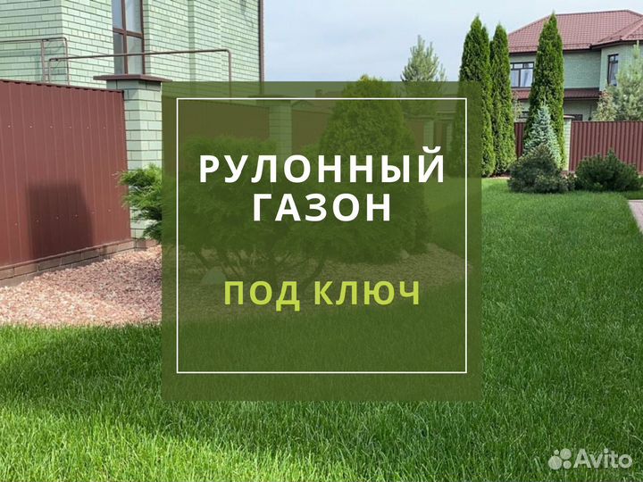 Рулонный газон с доставкой и укладкой
