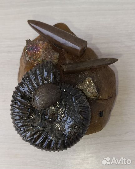 Композиция на симбирците 2 