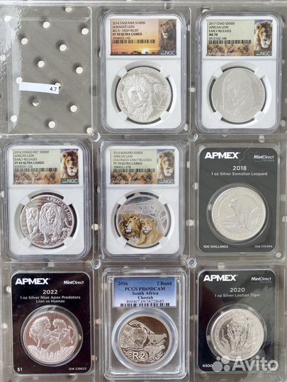 Частная коллекция серебряных монет