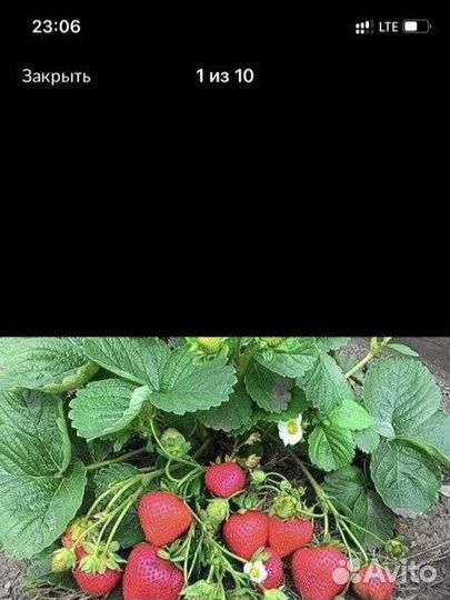 Навоз перегной в мешках