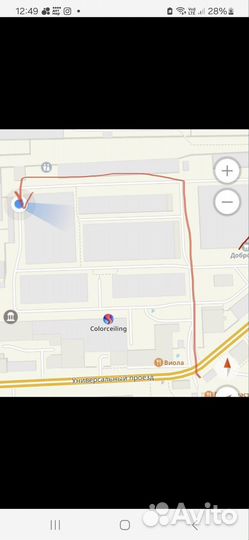 Семга атлантическая