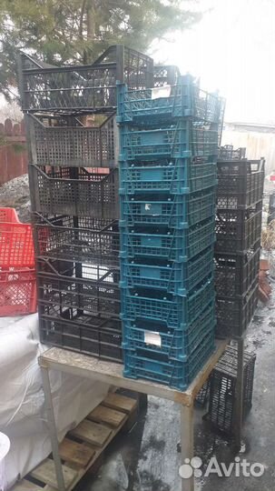 Ящики пластиковые б/у