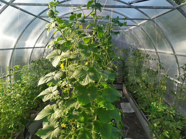 Дом 123 м² на участке 6,3 сот.