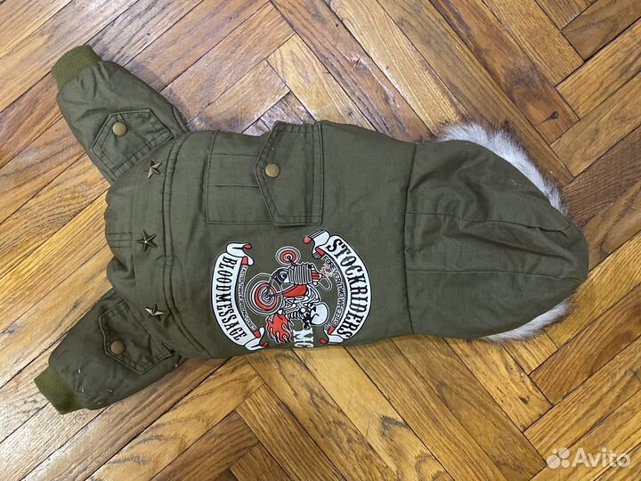 Одежда для собак той-терьер