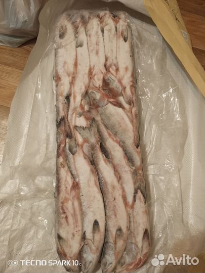Свежемороженая горбуша