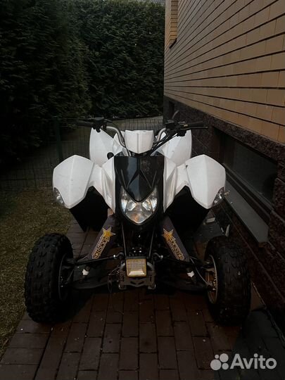 Квадроцикл access SP 300 sport