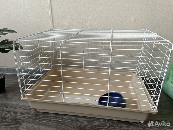 Клетка для грызунов: крысы, морские свинки