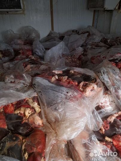 Мясо для собак