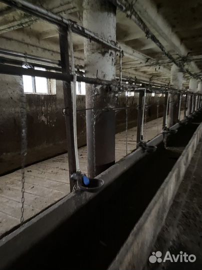 Система водопоения поилки чугунные