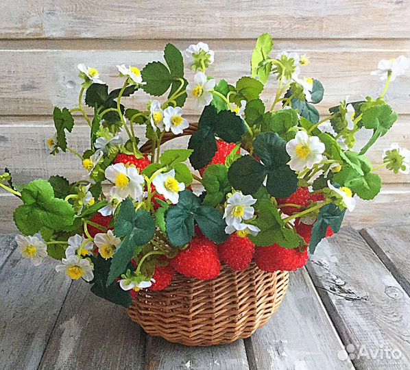 Саженцы Клубники(земляника) Ремонтантная Альбион