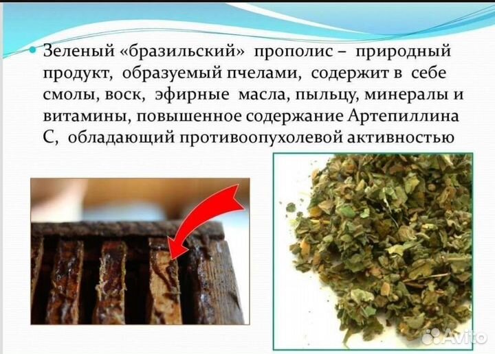 Зубная паста с Прополисом Южная Корея