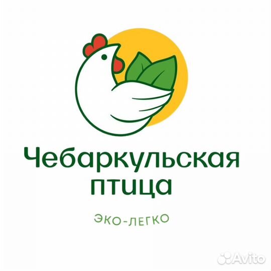 Главный инженер