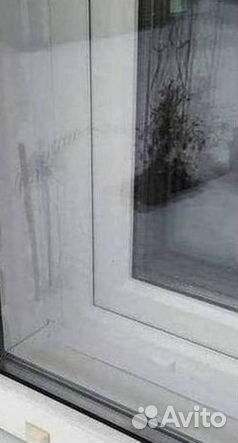 Окна за 1 день